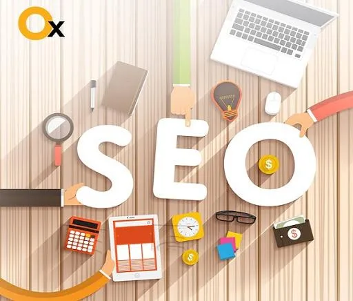 Best SEO Services Company in Delhi  iBrandox