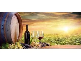Wine delivered to your door