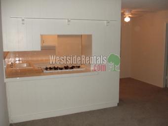 Spacious 1 bdr Apt.