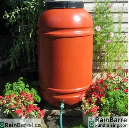 Rain Barrels Home Delivered