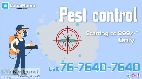 Best pest control services at doorsteps in bangalore - localramu