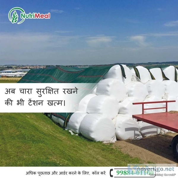 Silage supplier in punjab