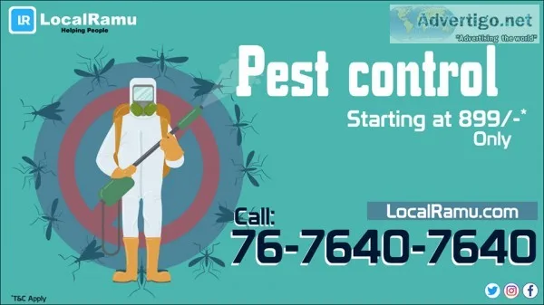 Best pest control services at doorsteps in bangalore - localramu