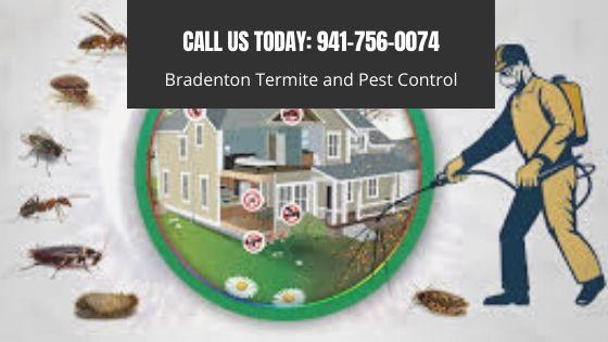 Best Pest Control in the Bradenton Area