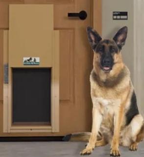 Pet Door Installation