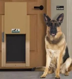 Pet Door Installation