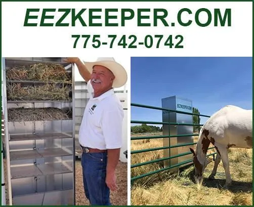 Horse Feeders For Sale Get It Today