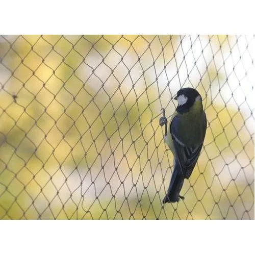 anti bird net bangalore