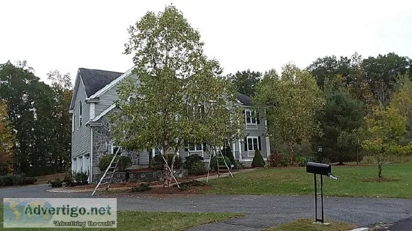 Free Landscaping-Lawn Mowing Estimates