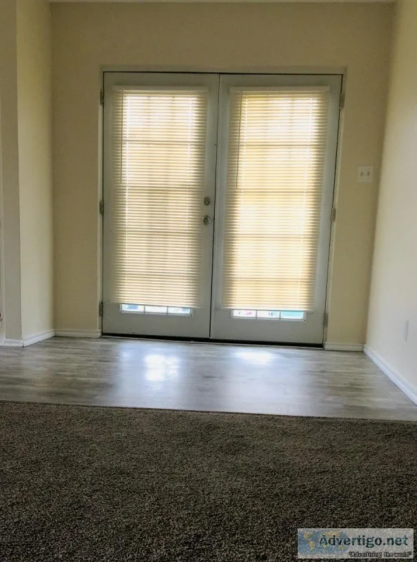 Awesome Apartment Perfect Location