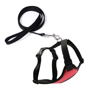 Buy Soft Nylon Cat Collar Harness and Leash Set ShoppySanta