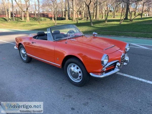 23283 1965 Alfa Romeo Giulia 1600 Spider