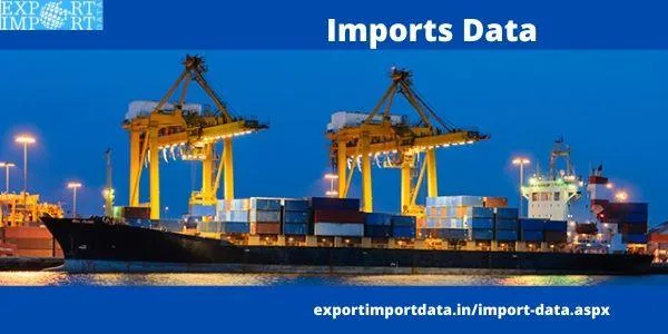 Detailed imports data online