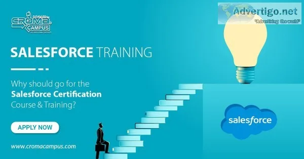 Salesforce Training in Noida