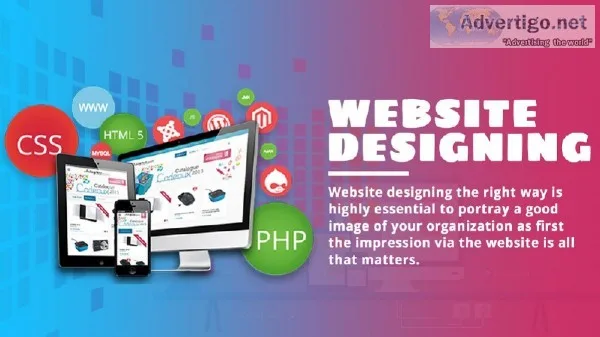 Web Designing Course in Najafgarh