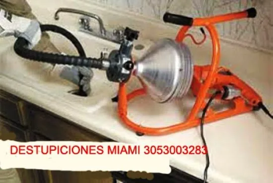 DESTUPICIONES EN MIAMI 3053003283