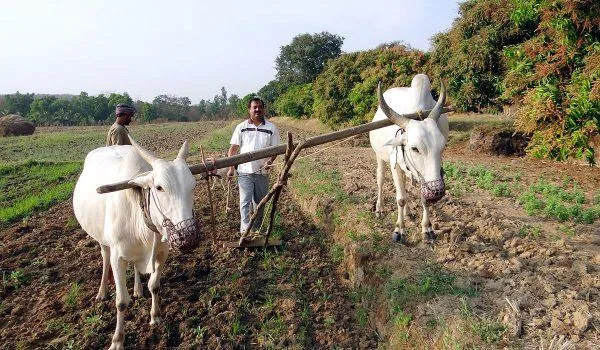 Agricultural Development Projects in India