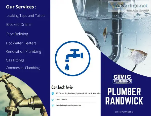 Do you need local and emergency plumbing services in Randwick