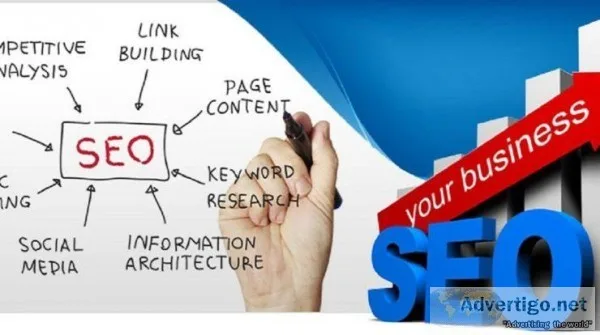 best SEO organization in India