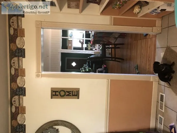 Miniature Wired hair Dashound