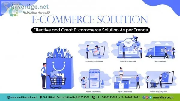 Custom E-commerce Website Development Services in India