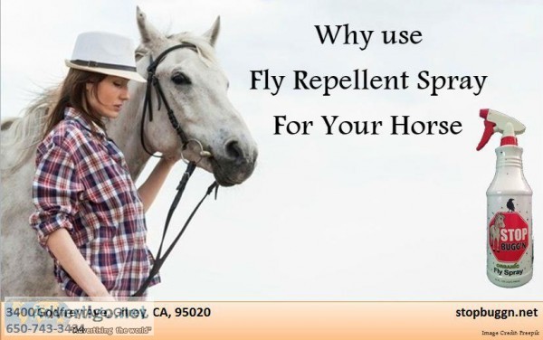 Why use Fly Repellent Spray For Your Horse
