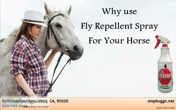 Why use Fly Repellent Spray For Your Horse