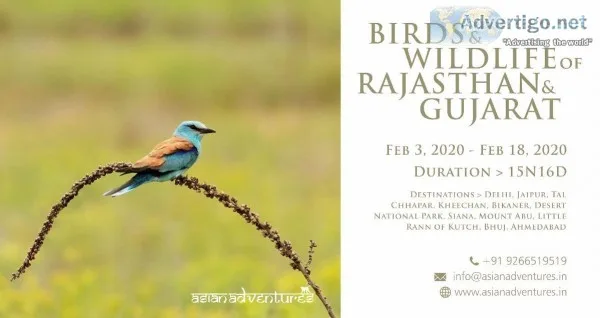 birding and wildlife tours west india