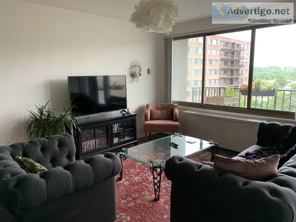 Large 1BD1BA Apartment