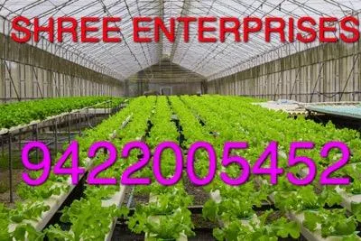Low Cost Hydroponics Vegetable Growing System