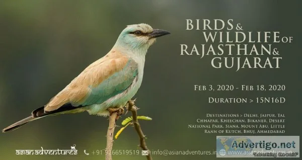famous bird watchers in india