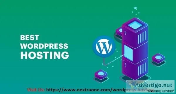 Fastest and Best WordPress Hosting 9212599995