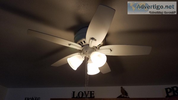 Ceiling fan and light