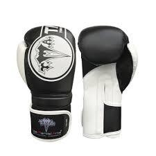Martial Arts Training Gloves