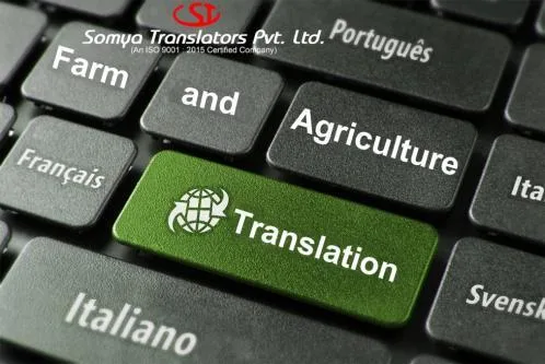 English to Kashmiri Translation Services Near You at your budget