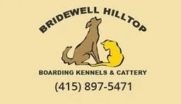 Dog Boarding in San Rafael