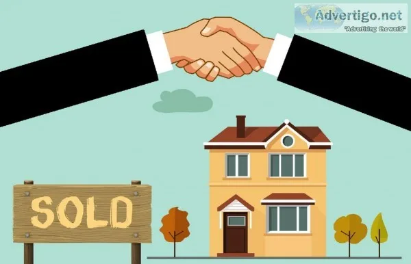 Real Estate Specialist - David Kaup