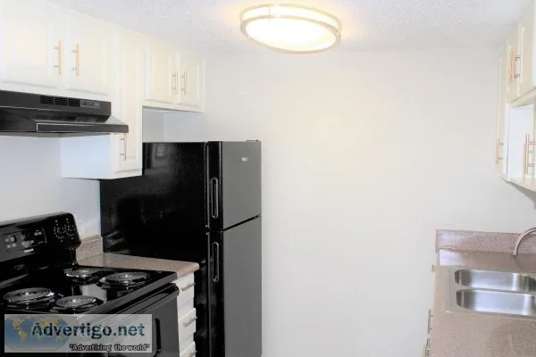 Two Months Free One Bedroom One Bathroom