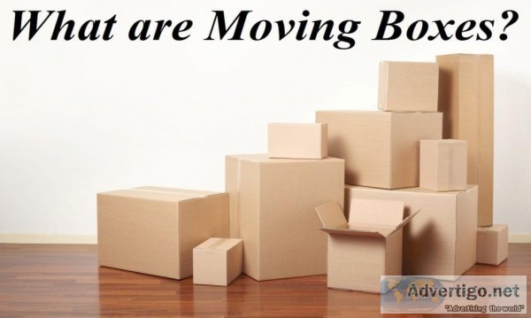 Plastic packing boxes for moving in Sydney by Koala Box