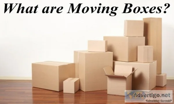 Plastic packing boxes for moving in Sydney by Koala Box