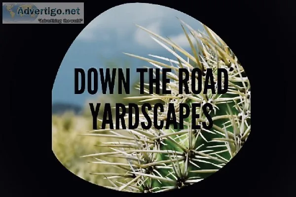 Down the Road Yardscapes