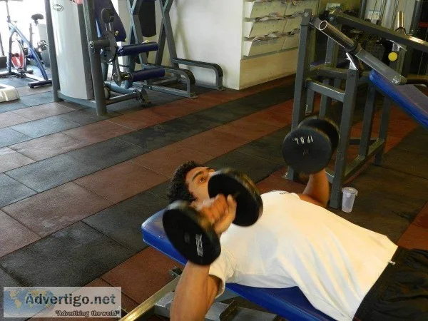 Sef Fitness Gym Best Gym In Aundh and Baner - Gym in Pune