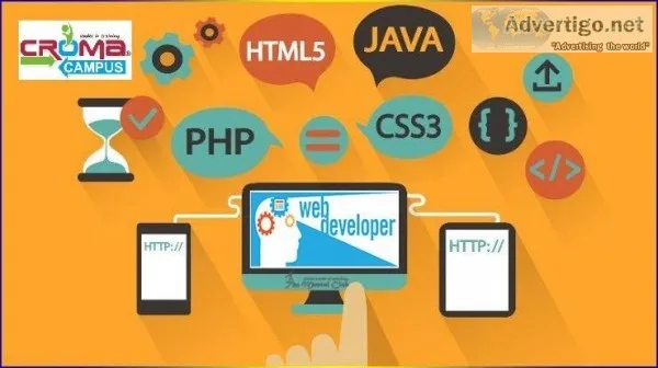 Web Development Training in Delhi