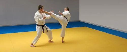 Judo Mats in Delhi