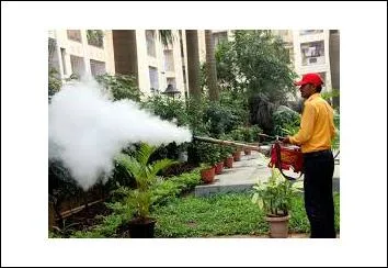 Pest Control in Model Town