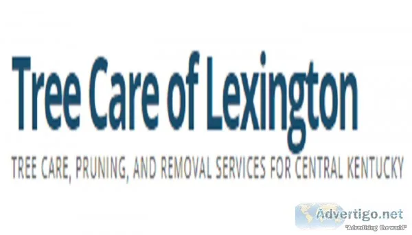 Tree Removal Lexington KY