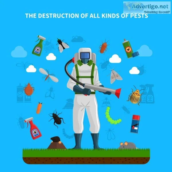 Pest Control Services in Pune