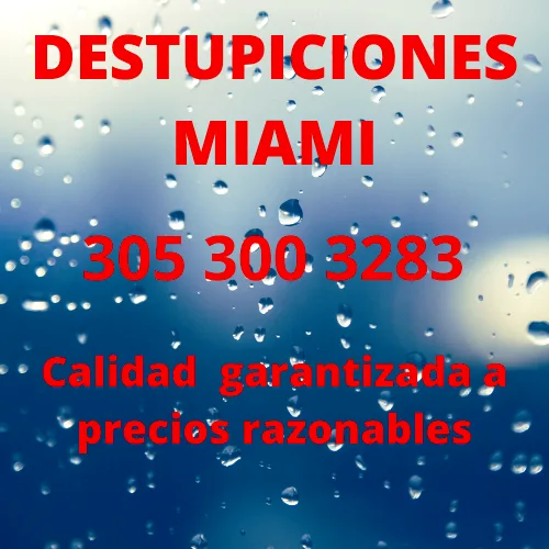 drain cleaning services in miami and broward 305 300 3283