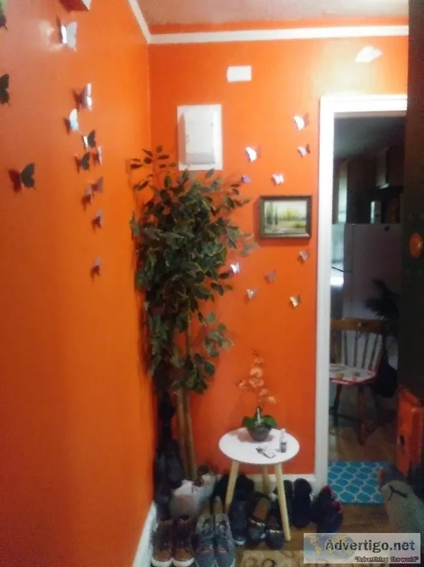 Short term renting colorful spacious city pad by all transportat