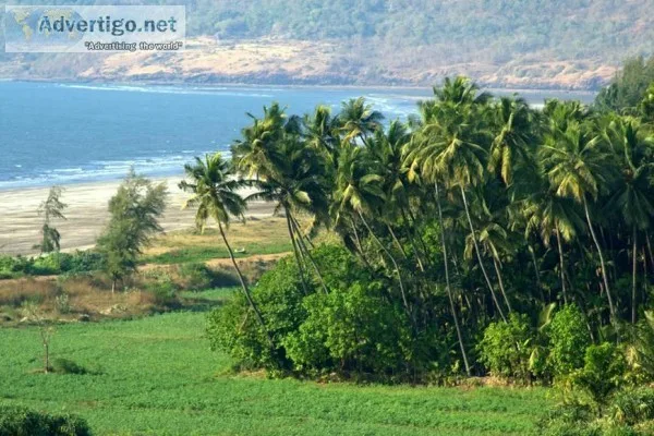 Tour Packages from Mumbai and Pune  Kokan Darshan  Honeymoon Pac